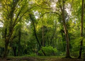 Pierre RICH - Rich Photographe