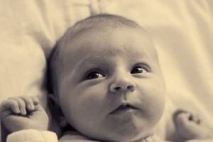 Elisabeth LAVALL - LAVALL ELISABETH